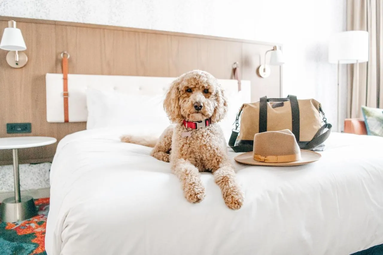 Hyatt Centric Downtown DEN Hotel
